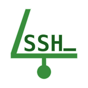 SSH SFTP Server - Terminal